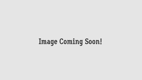 2025 HARLEY-DAVIDSON BREAKOUT 117 (FXBR) ROAD 